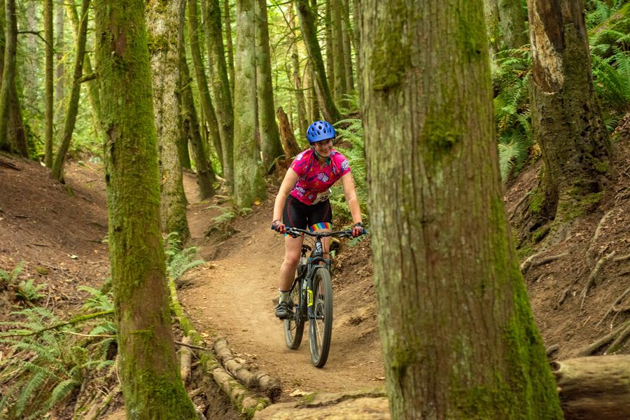 A mountain biker on forest singletrack